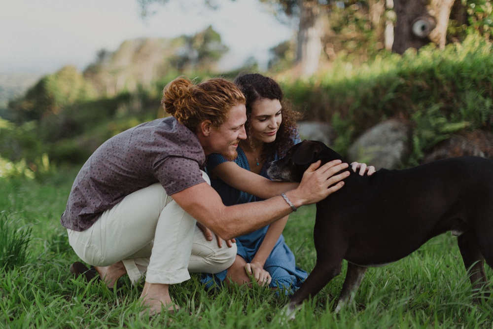 engagement photos with dog in maui, hawaii