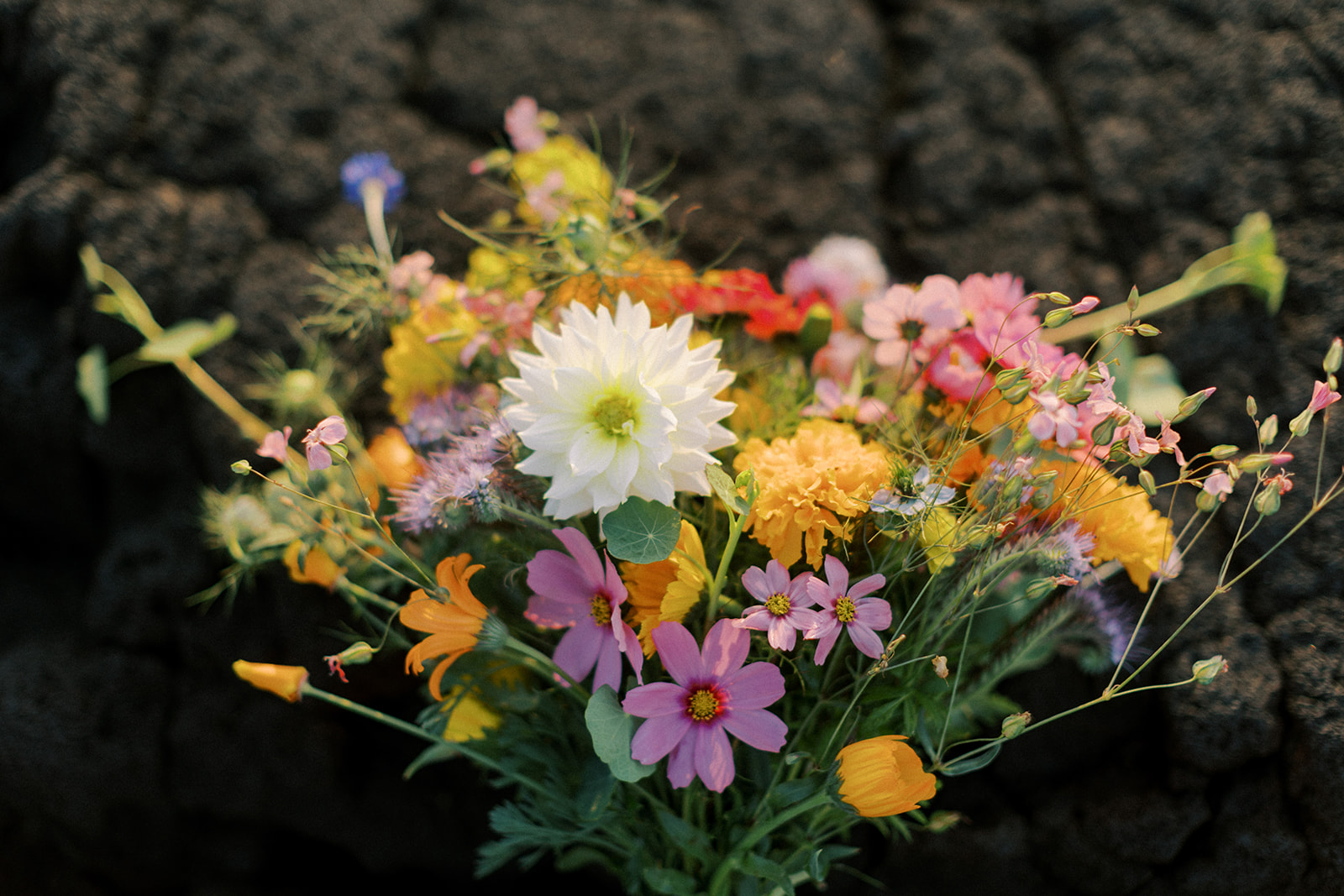 A bouquet made by flowers from Misty Mountain Homestead perfect for the sunrise wedding. 
